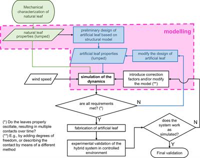 Wind dynamics and leaf motion: Approaching the design of high-tech devices for energy harvesting for operation on plant leaves